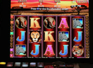 壹号电子娱乐app下载2024最新版